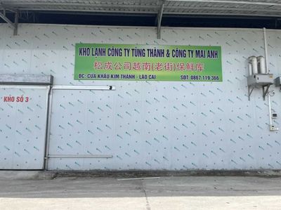 宾川“果儿”贺新春 贸易经纪助力果农创富